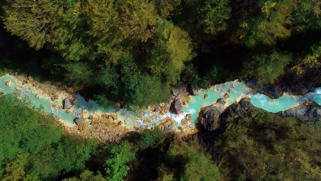 Kuzalan Tabiat Parkı'nda sonbahar güzelliği yaşanıyor