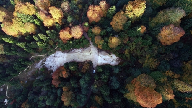 Kuzalan Tabiat Parkı'nda sonbahar güzelliği yaşanıyor