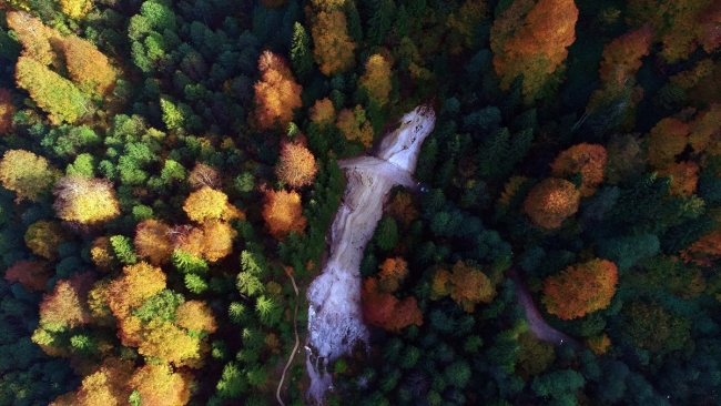 Kuzalan Tabiat Parkı'nda sonbahar güzelliği yaşanıyor