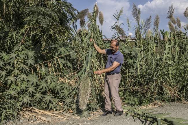 "Ney"in kamıştan sanata uzanan zorlu yolculuğu