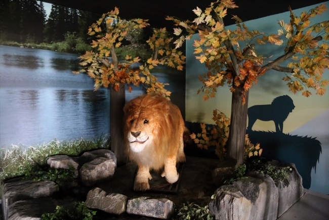 Hasan Ali Yücel Çocuk Müzesi Edirne'de açılıyor