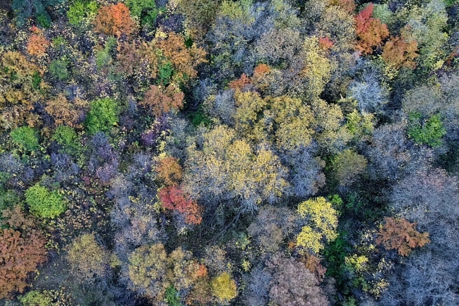 Kars'ta sonbaharın doğal güzellikleri fotoğraflandı