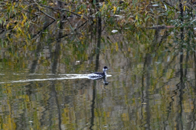 Kars'ta sonbaharın doğal güzellikleri fotoğraflandı