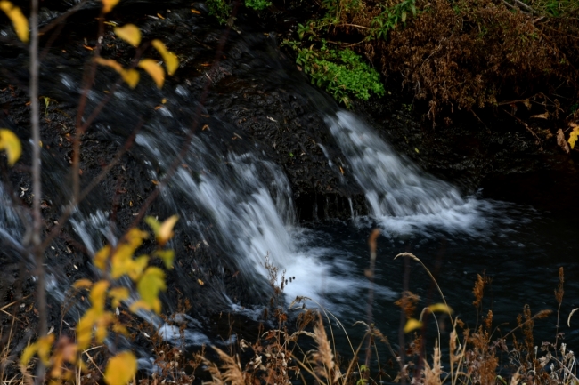 Kars'ta sonbaharın doğal güzellikleri fotoğraflandı