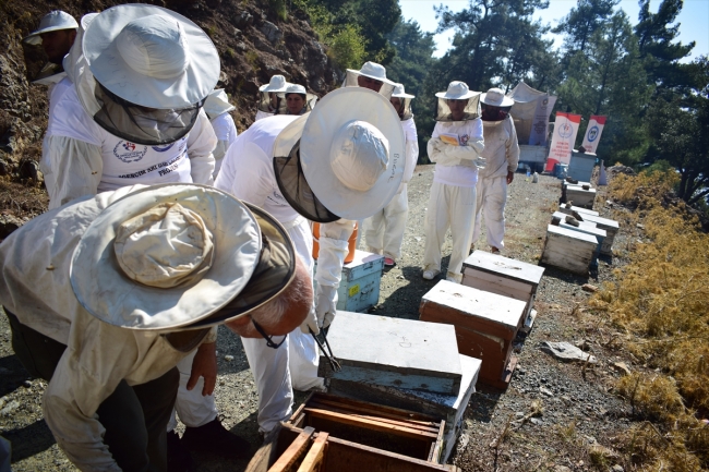 Ordu'nun genç arıcıları yetişiyor