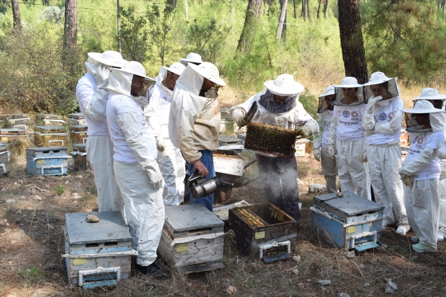 Ordu'nun genç arıcıları yetişiyor
