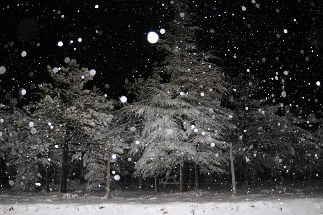 Karaman'da kar yağışı devam ediyor