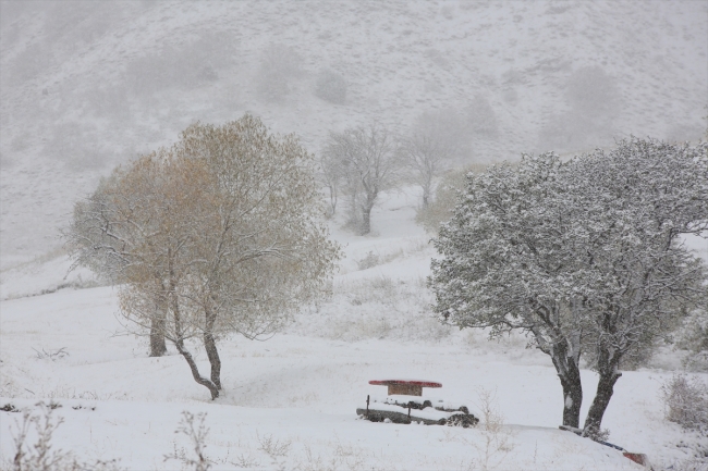 Kar yağışı yurtta etkisini gösteriyor