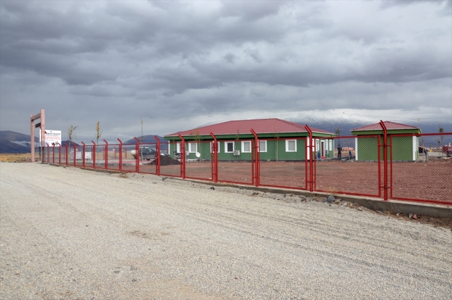 Ağrı'da 2 yılda 5 bin sokak hayvanına bakım