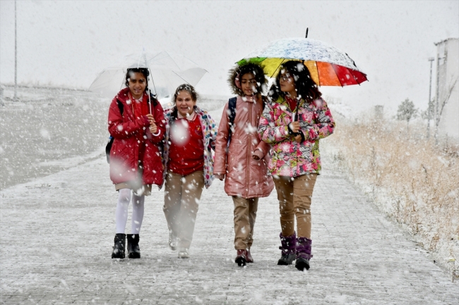 Doğu Anadolu'da kar yağışı etkili oldu