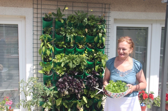 TİKA'dan Bosna Hersek’te tarım desteği