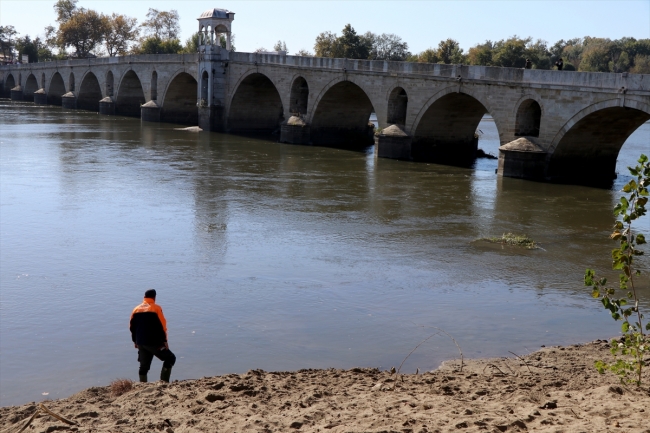 Köprü ayağındaki köpek AFAD'ı harekete geçirdi
