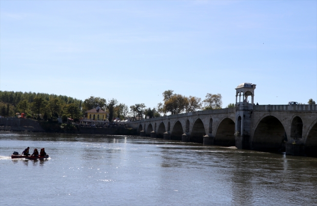 Köprü ayağındaki köpek AFAD'ı harekete geçirdi