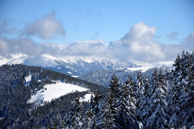 Örümcek Ormanlarında iki mevsim bir arada yaşanıyor