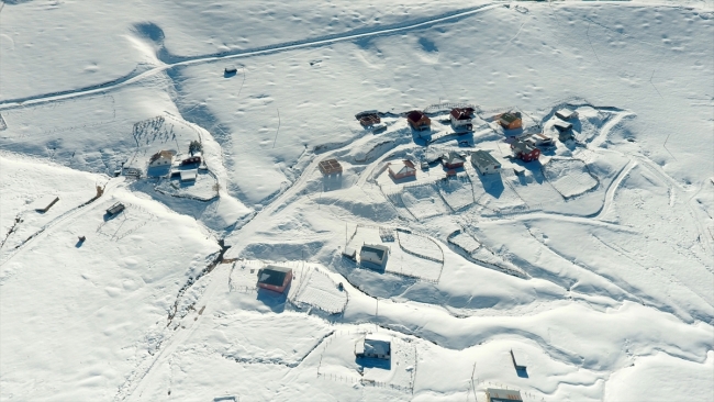 Örümcek Ormanlarında iki mevsim bir arada yaşanıyor