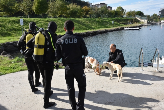 Garip ve Haydut isimli köpekler deniz polisinin maskotu oldu