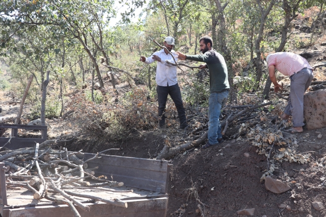 Mangal kömürü üretmek için gece gündüz mesai yapıyorlar