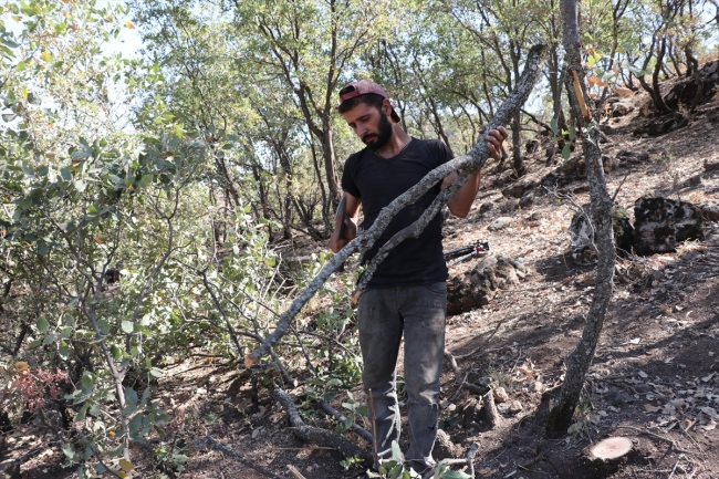Mangal kömürü üretmek için gece gündüz mesai yapıyorlar
