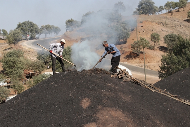 Mangal kömürü üretmek için gece gündüz mesai yapıyorlar