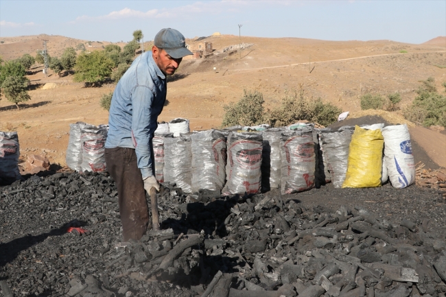 Mangal kömürü üretmek için gece gündüz mesai yapıyorlar