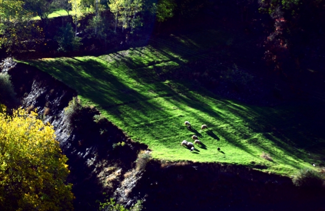 Hizan'ın saklı güzellikleri fotoğraflandı