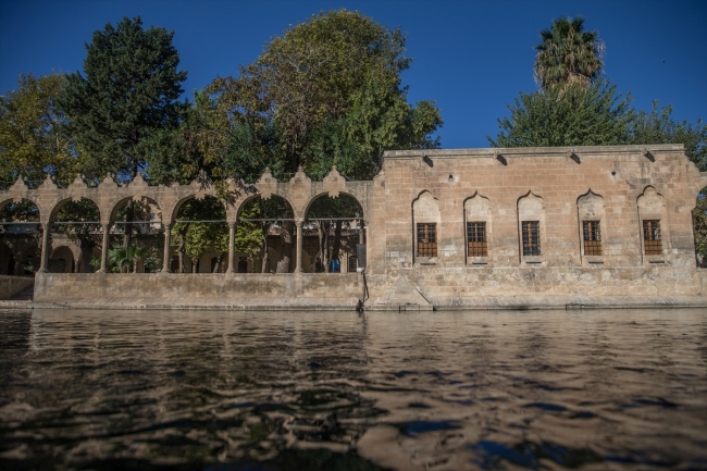 Balıklıgöl'de sonbahar yoğunluğu yaşanıyor