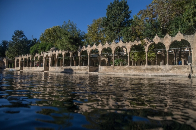 Balıklıgöl'de sonbahar yoğunluğu yaşanıyor