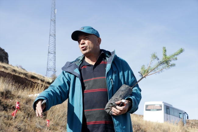 Kayseri'de şenlik paraları ağaca dönüşüyor