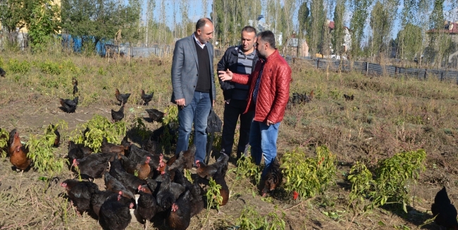 Şoförlüğü bırakıp devlet desteği ile çiftlik kurdu