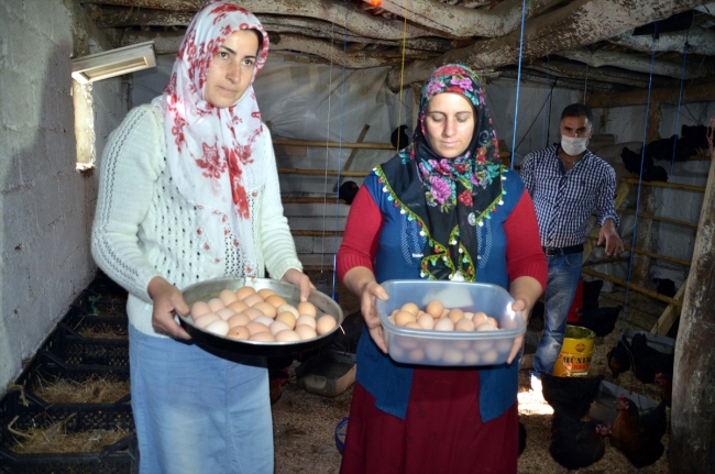 Şoförlüğü bırakıp devlet desteği ile çiftlik kurdu