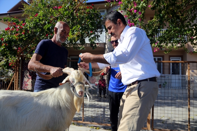 Sporcularla koşan keçiye madalya