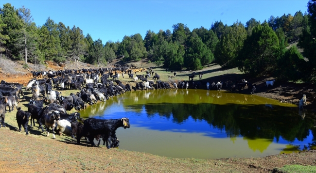 Karakeçili Yörükleri zorlu kış göçünü tamamladı