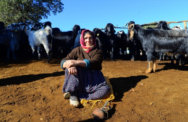 Karakeçili Yörükleri zorlu kış göçünü tamamladı