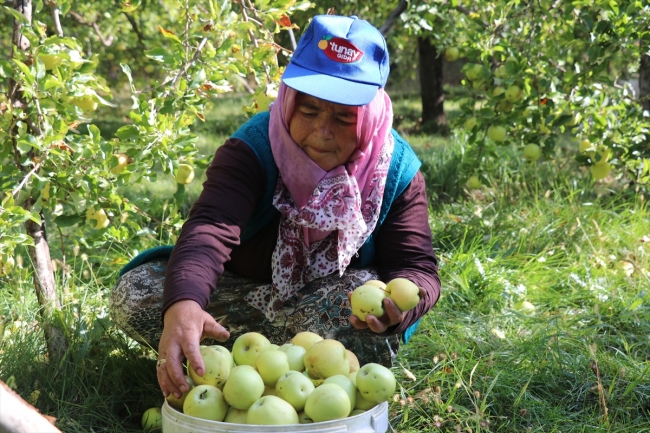 Fransa ve İspanya'daki bebeklerin meyve püresi Erzincan'dan