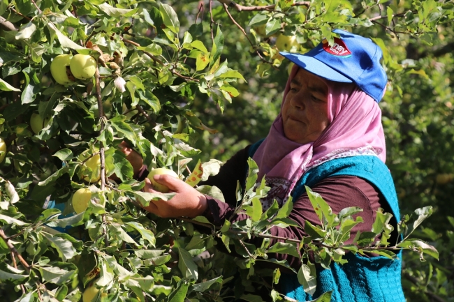 Fransa ve İspanya'daki bebeklerin meyve püresi Erzincan'dan
