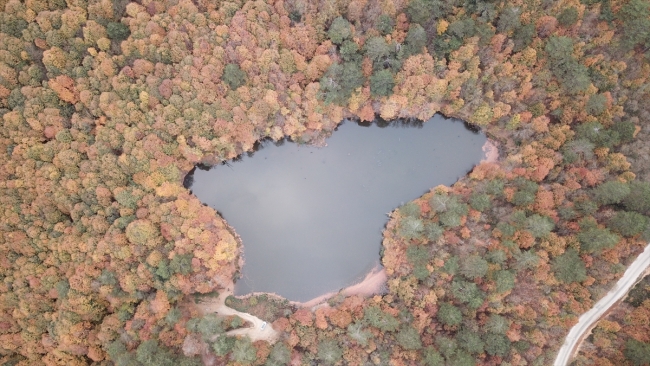 Yalova'da sonbaharın tüm güzellikleri bir arada