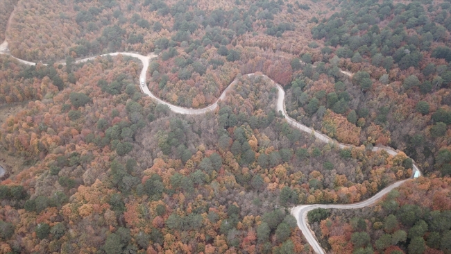Yalova'da sonbaharın tüm güzellikleri bir arada