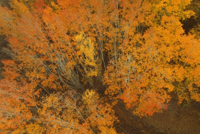 Günpınar Şelalesi her mevsim ayrı güzel