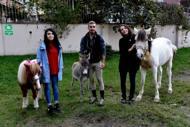 Trabzon'da köy okullarını gezip çocuklara hayvan sevgisi aşılıyorlar