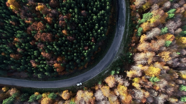 Kunduz Ormanları'nda sonbahar güzelliği
