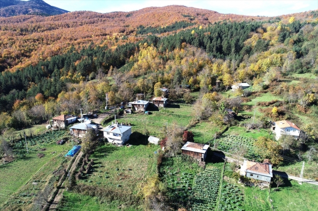 Kastamonu'da sonbahar renkleri