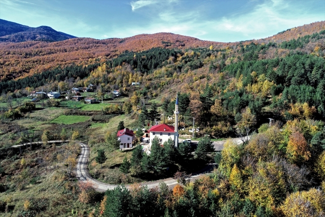 Kastamonu'da sonbahar renkleri