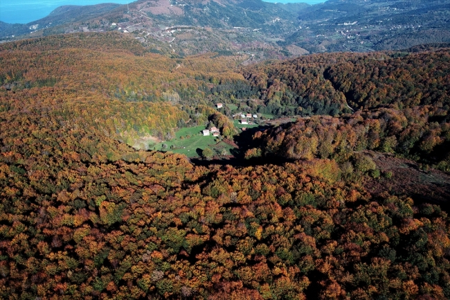 Kastamonu'da sonbahar renkleri