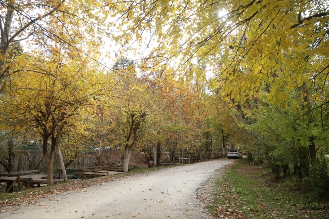 El değmemiş doğasıyla öne çıkan Kahramanmaraş Göksun'da sonbahar