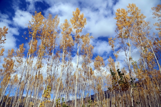 El değmemiş doğasıyla öne çıkan Kahramanmaraş Göksun'da sonbahar