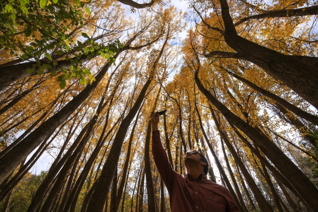 Tohma Kanyonu ziyaretçilerine sonbaharın güzelliğini yaşatıyor