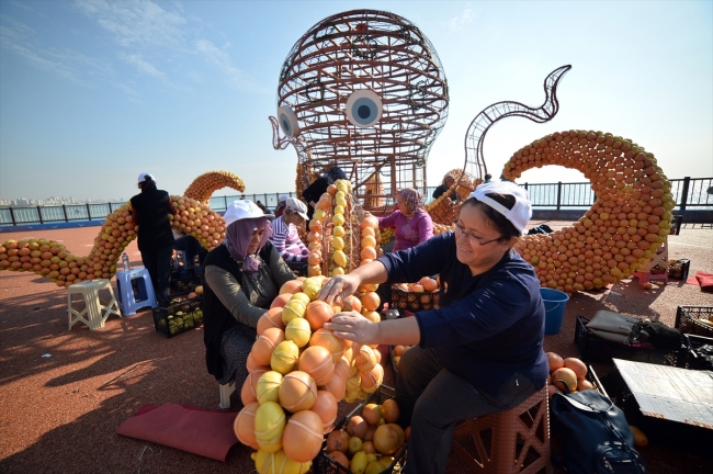 Mersinli kadınlar narenciyeyle birbirinden ilginç figürler oluşturuyor