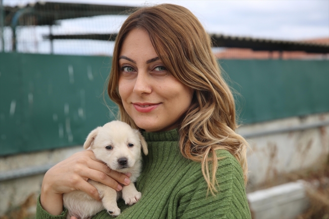 Hükümlülerden sahipsiz köpeklere sıcak yuva