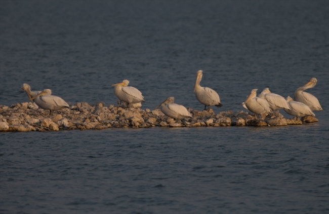 İzmir Kuş Cenneti'nde gün batımı