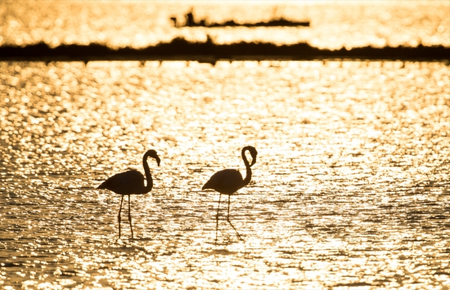 İzmir Kuş Cenneti'nde gün batımı